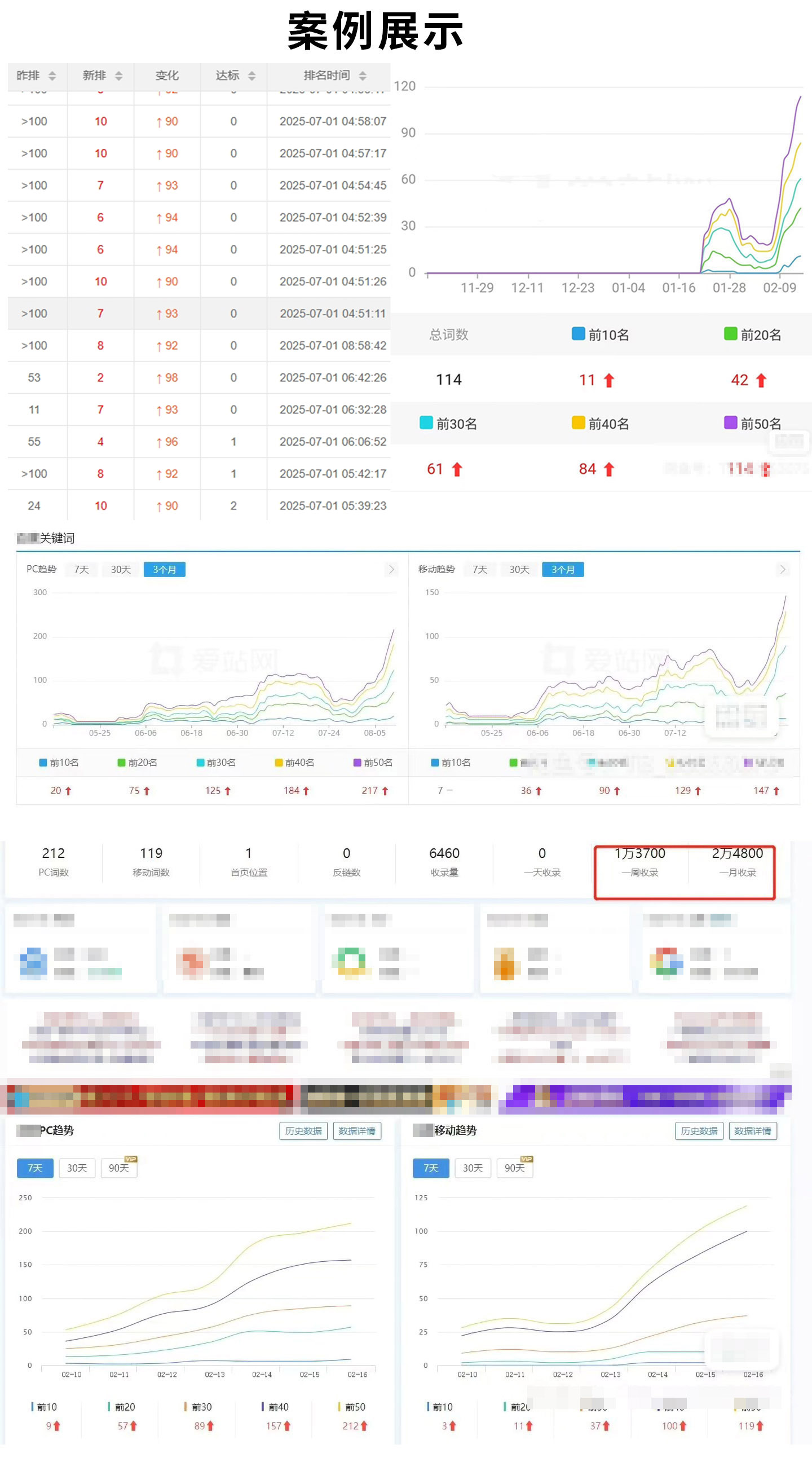 SEO成功案例展示图